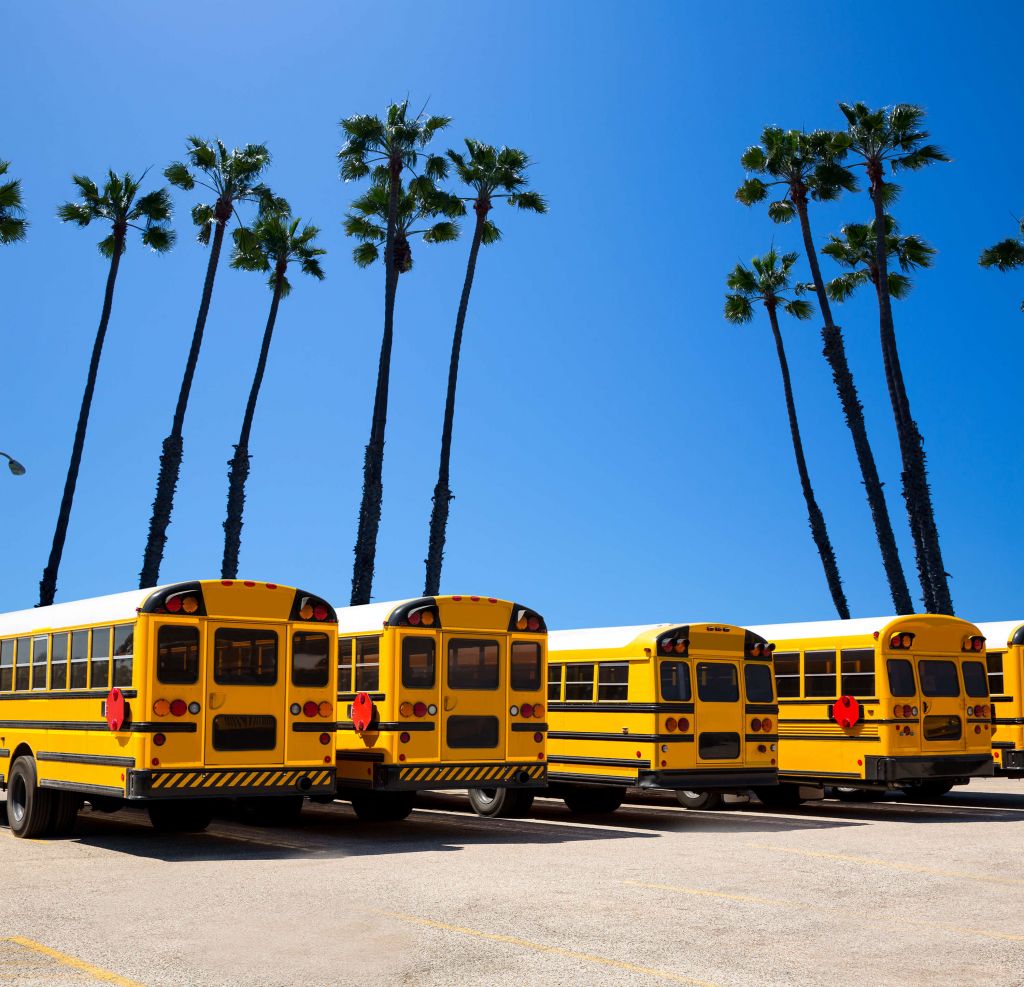 Bus scolaires av ec palmiers
