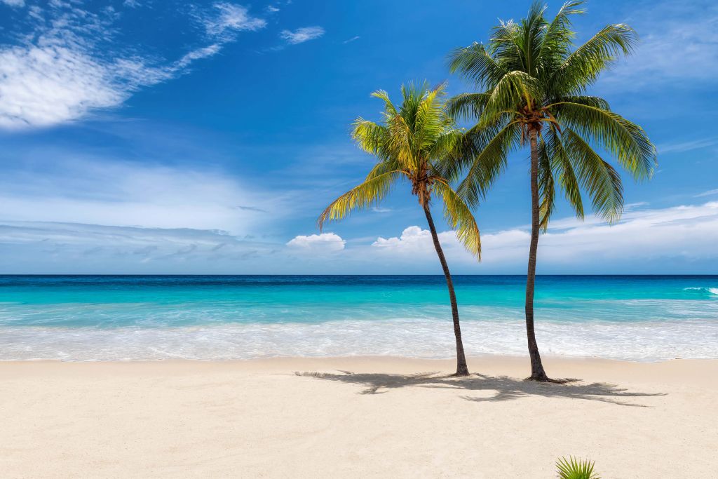 Plage de sable tropicale