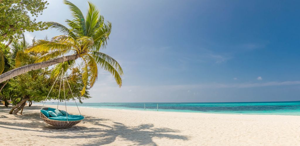 Plage tropicale avec balançoire