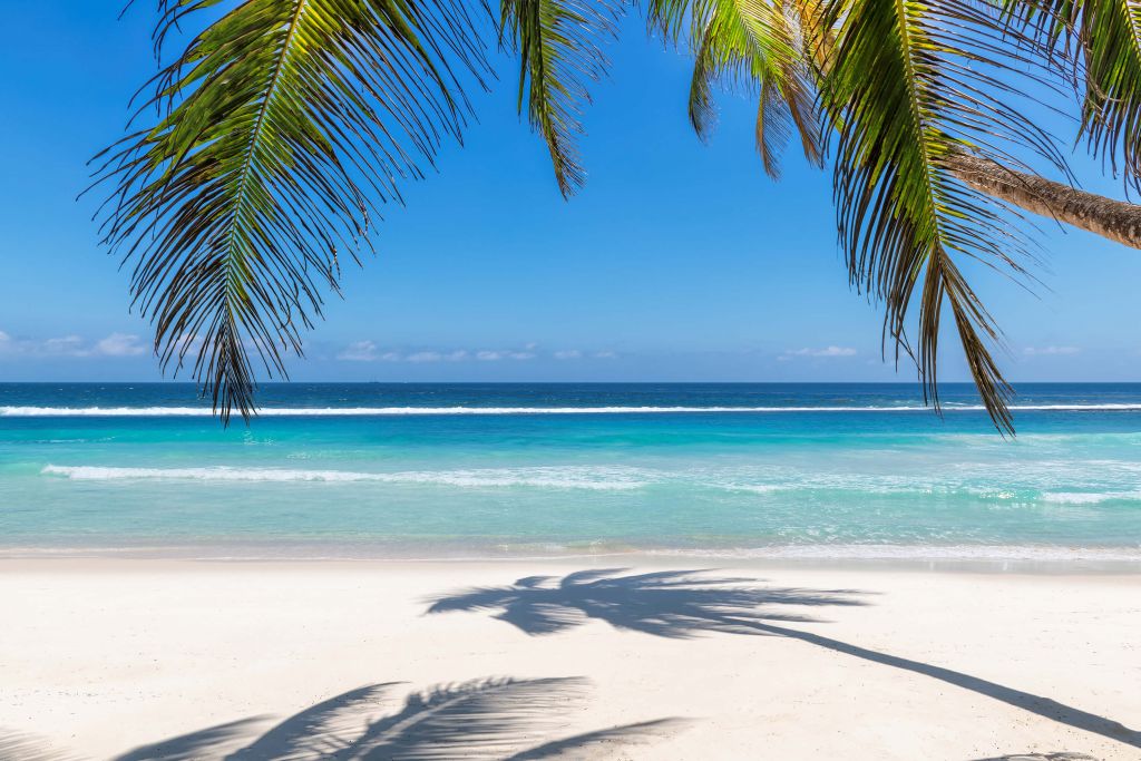 Plage au bord de mer