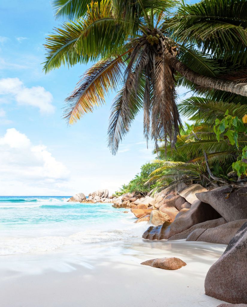 Belle plage de sable tropical