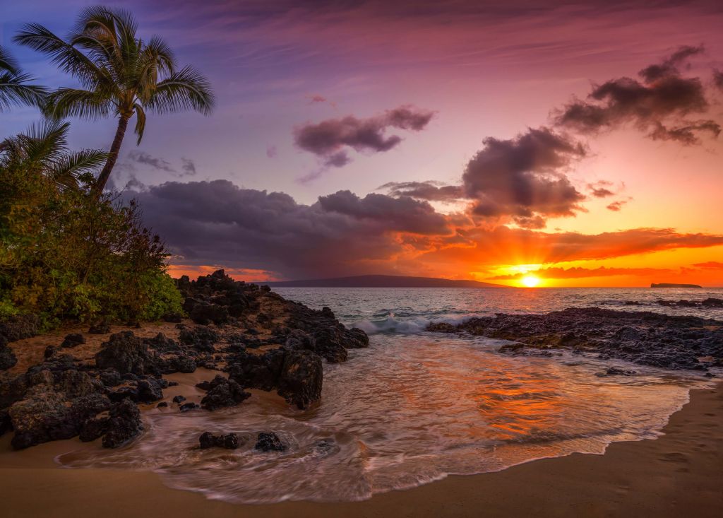 Plage hawaïenne