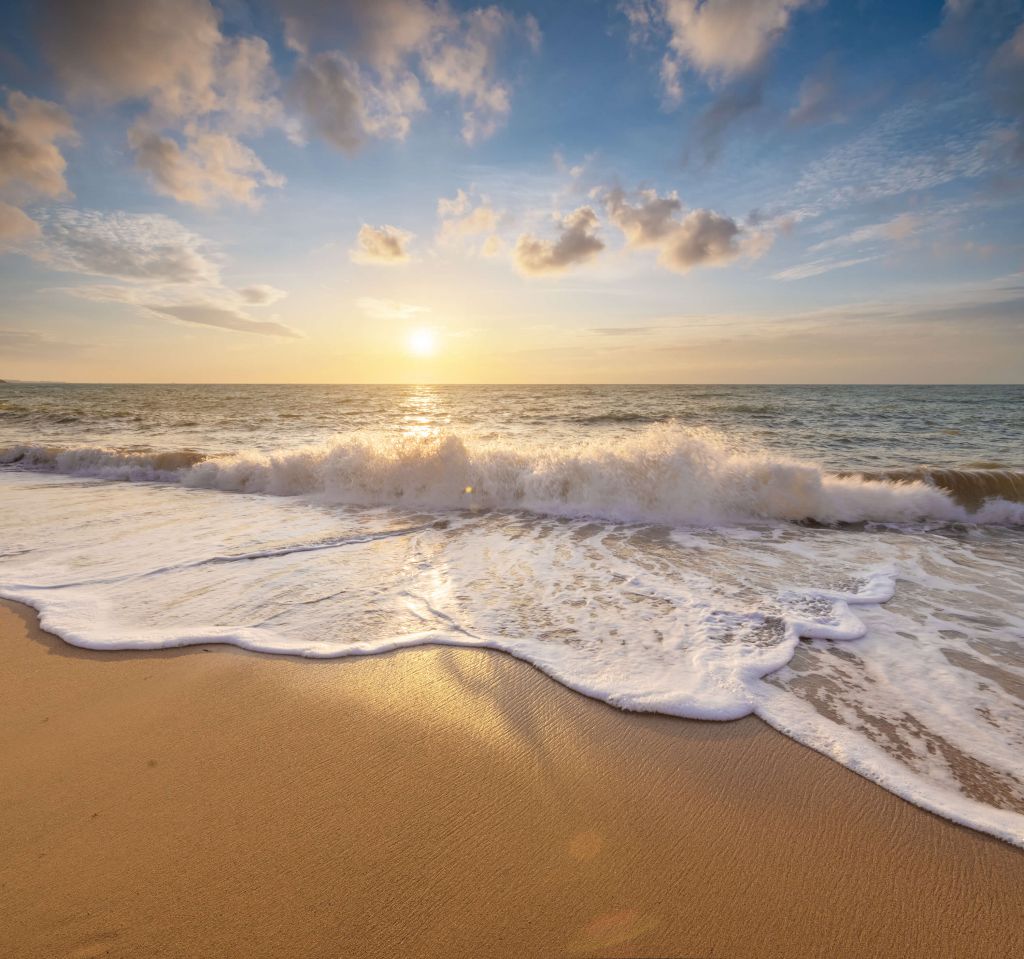 L'été à la plage