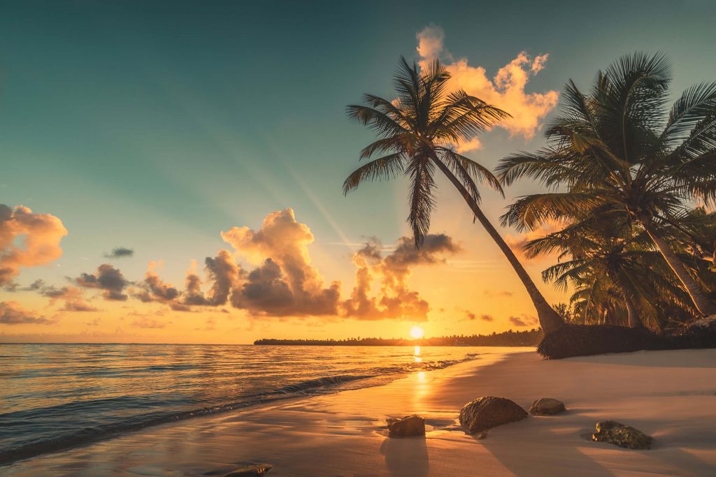 Plage tropicale à Punta Cana