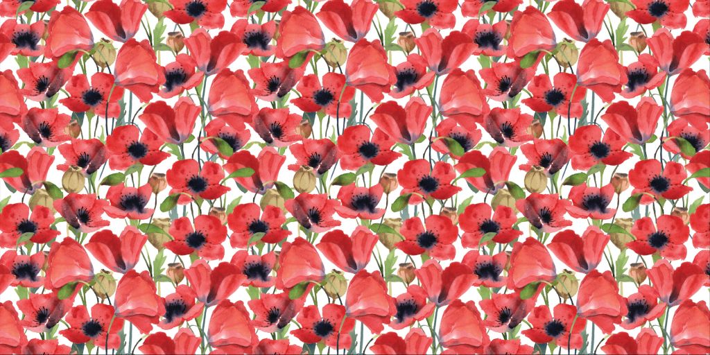 Coquelicots rouges