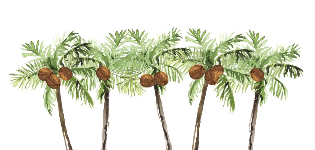 Palmiers verts