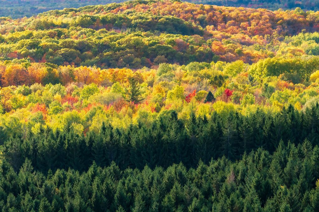Vue d'automne