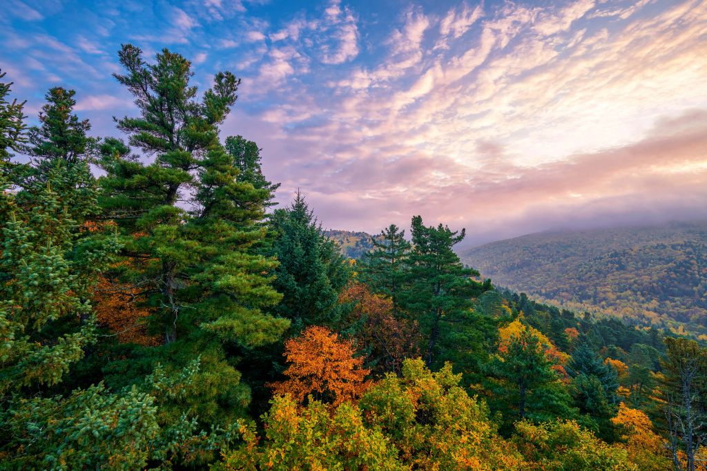 Paysage d'automne