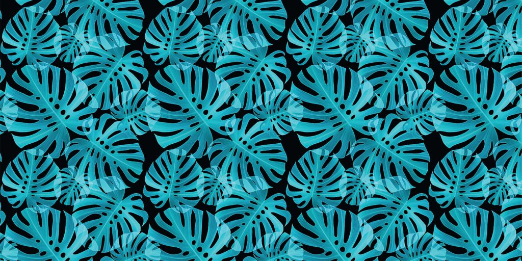 Monstera bleu