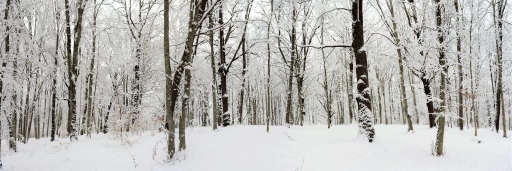 Panorama d'hiver