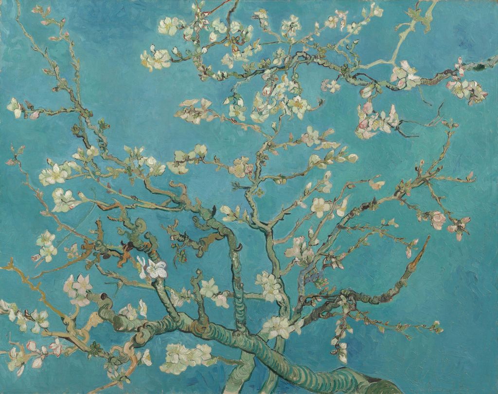 Fleur d’amandier peinte (Van Gogh)
