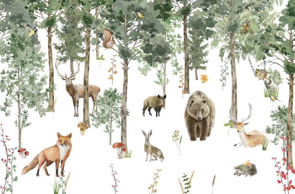 Aquarelle d'animaux de la forêt