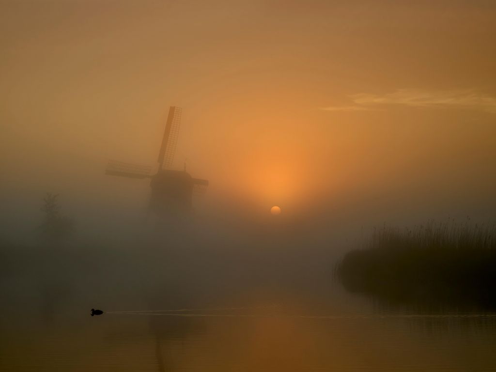 Moulin dans le brouillard