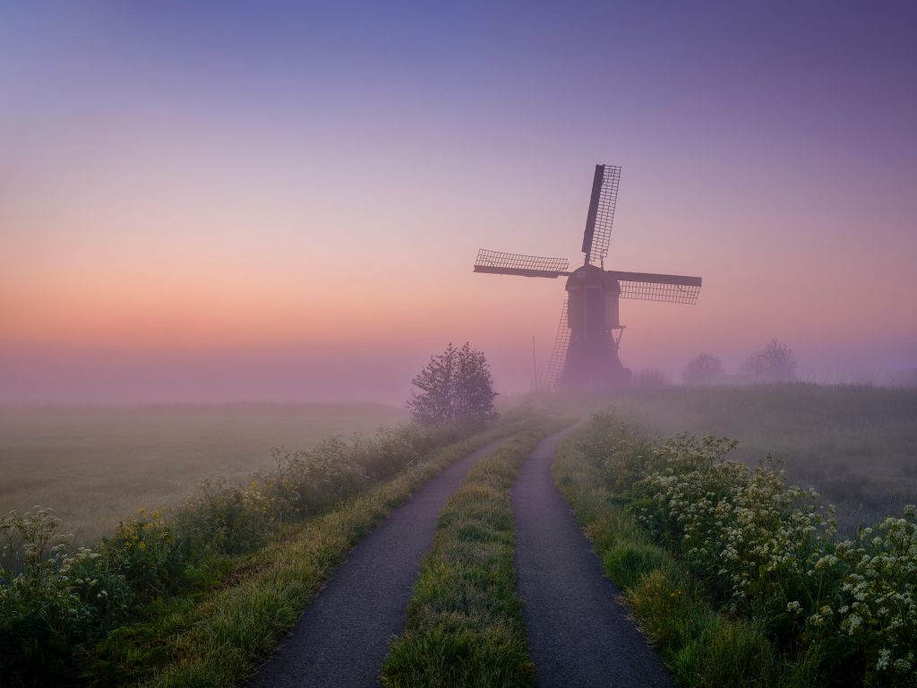 Le chemin du moulin