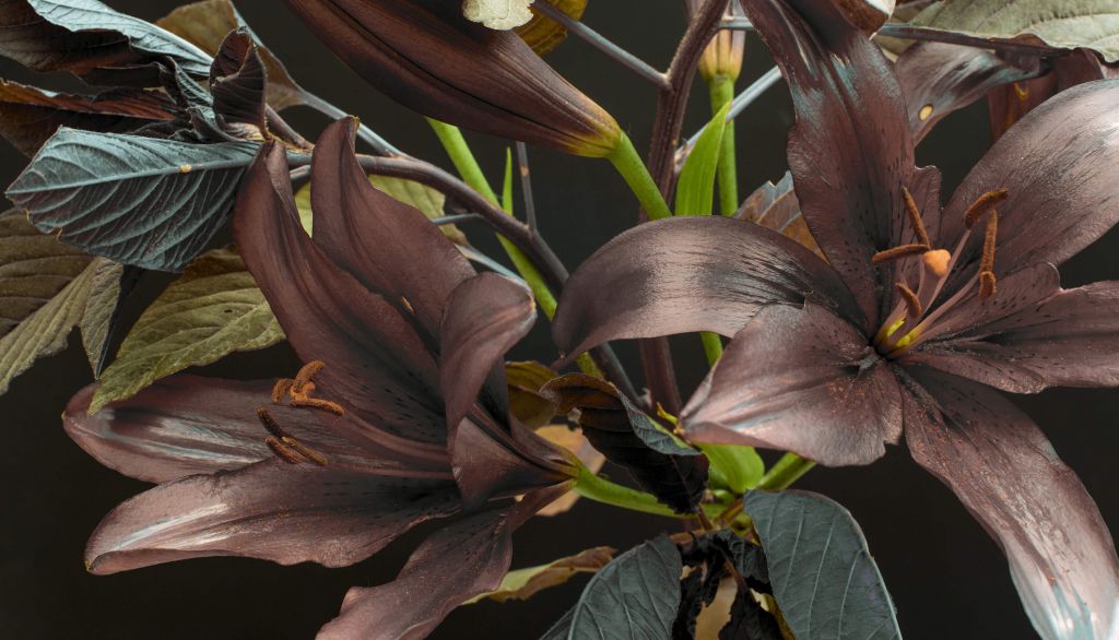 Bouquet abstrait