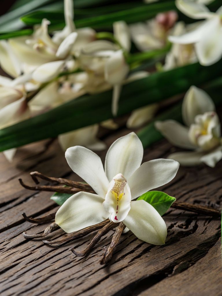 Gousses de vanille et fleurs