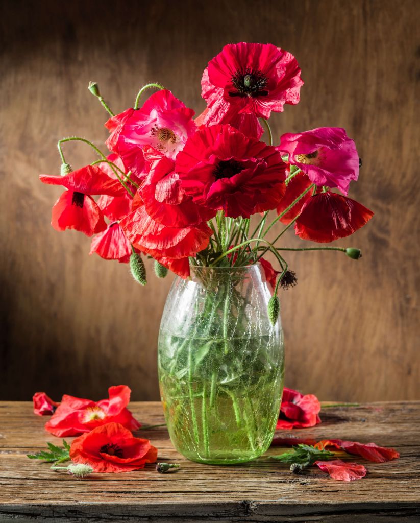 Coquelicots dans un vase