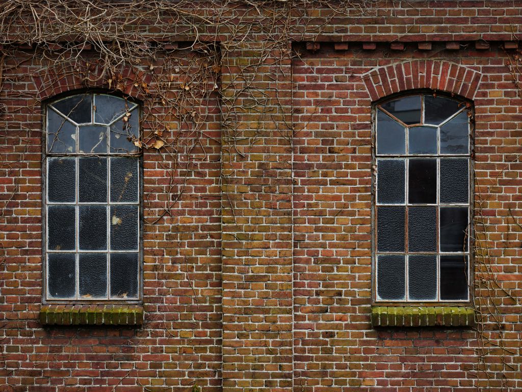 Fenêtres dans un ancien bâtiment d'usine