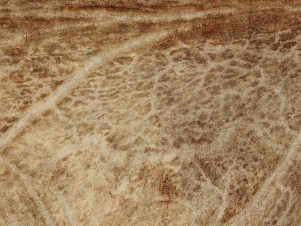 Texture marron