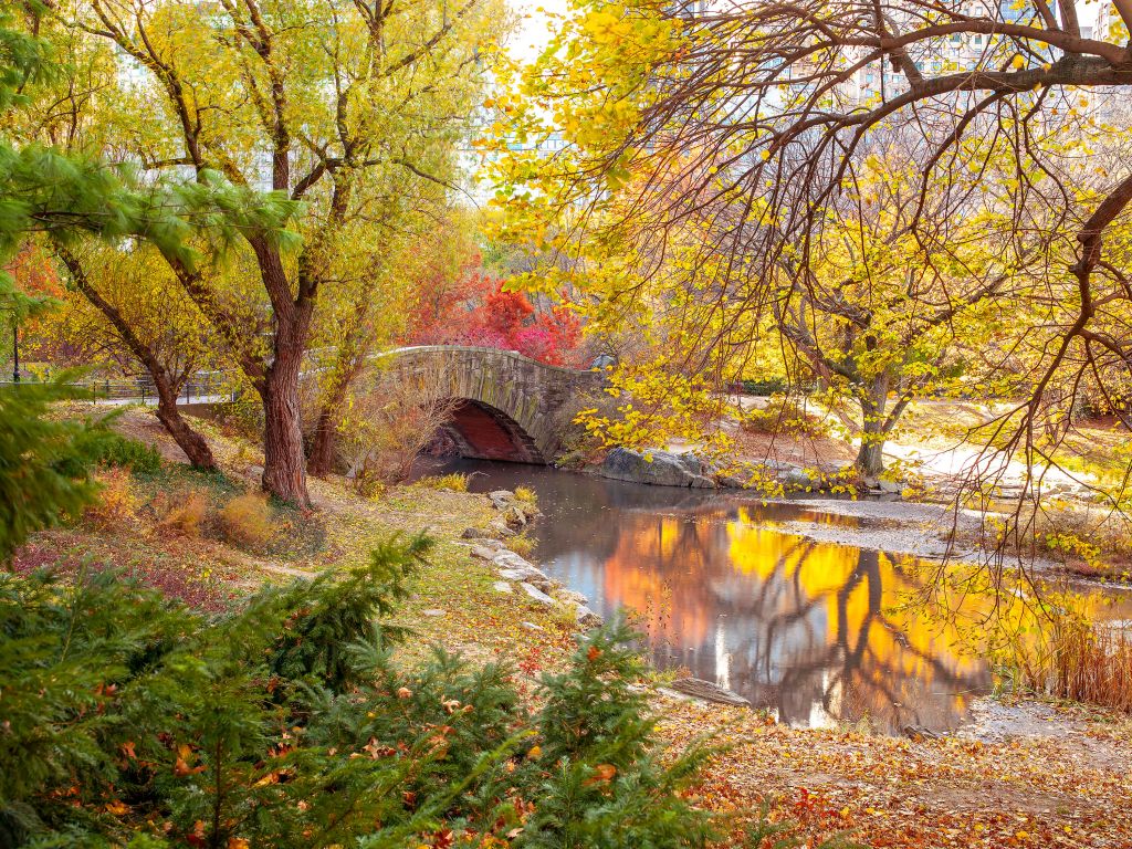 Un parc coloré