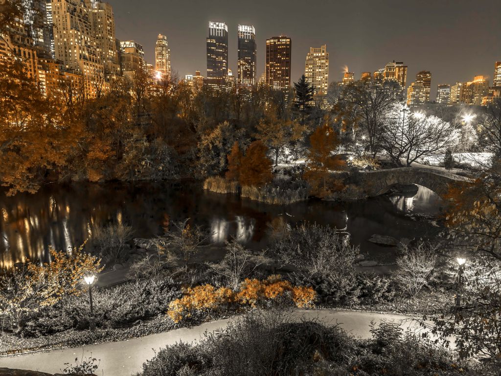 Parc coloré à New York