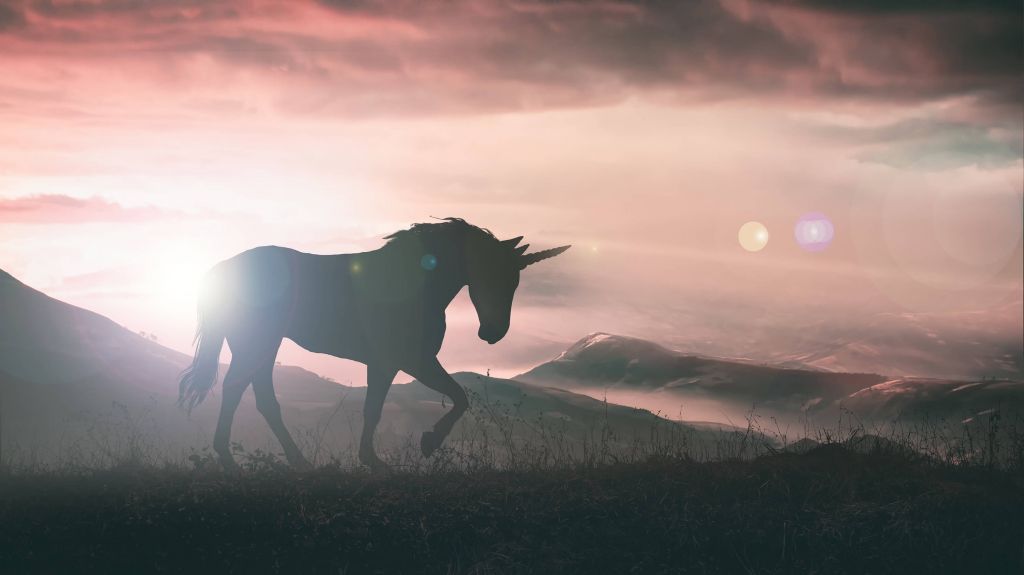 Licorne au coucher du soleil