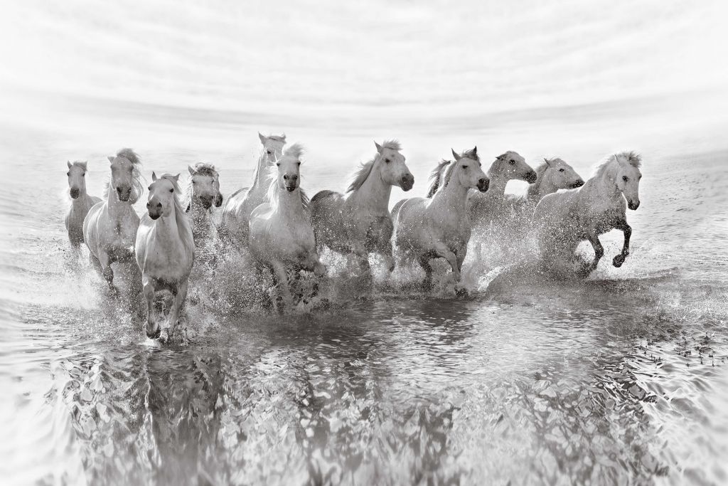 Illusion of power (13 horse power though)
