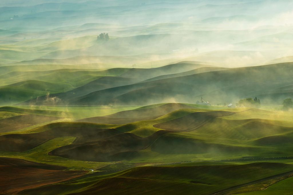 Golden Morning-Palouse