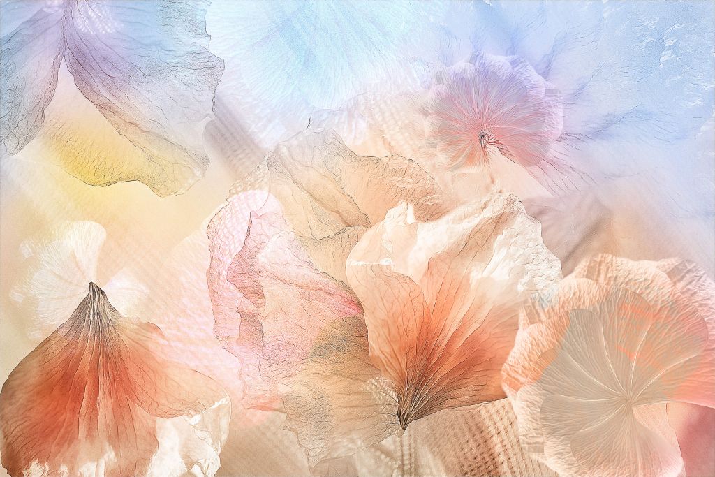 Ethereal flowers