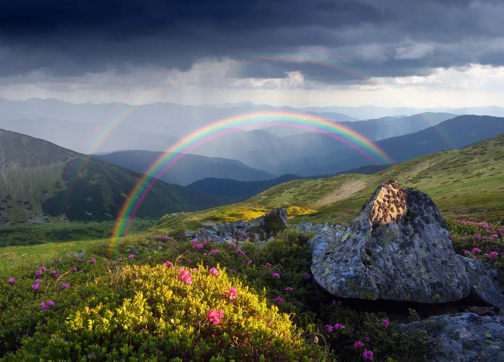 Paysage avec des fleurs