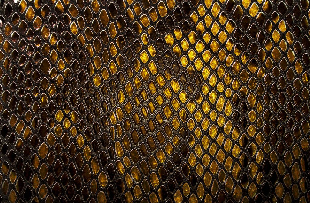 Peau de serpent