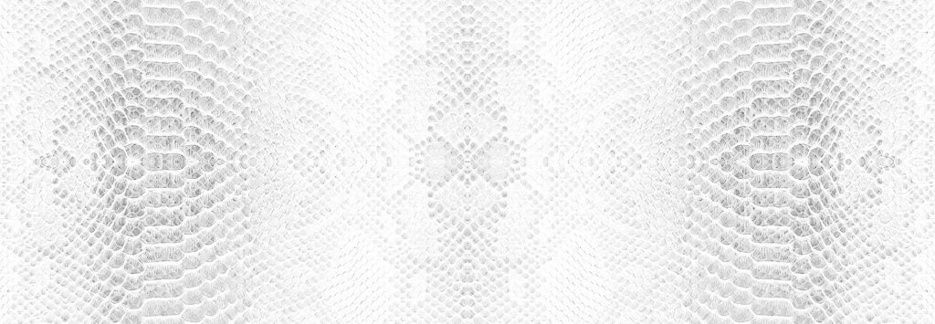 Texture de la peau de serpent