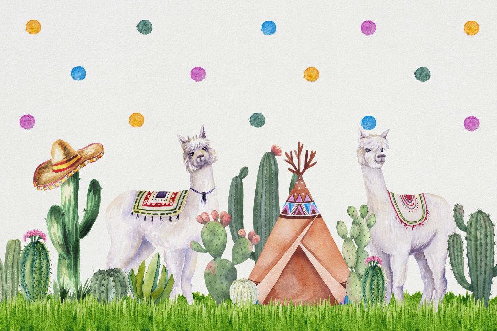 Des alpagas entre les cactus