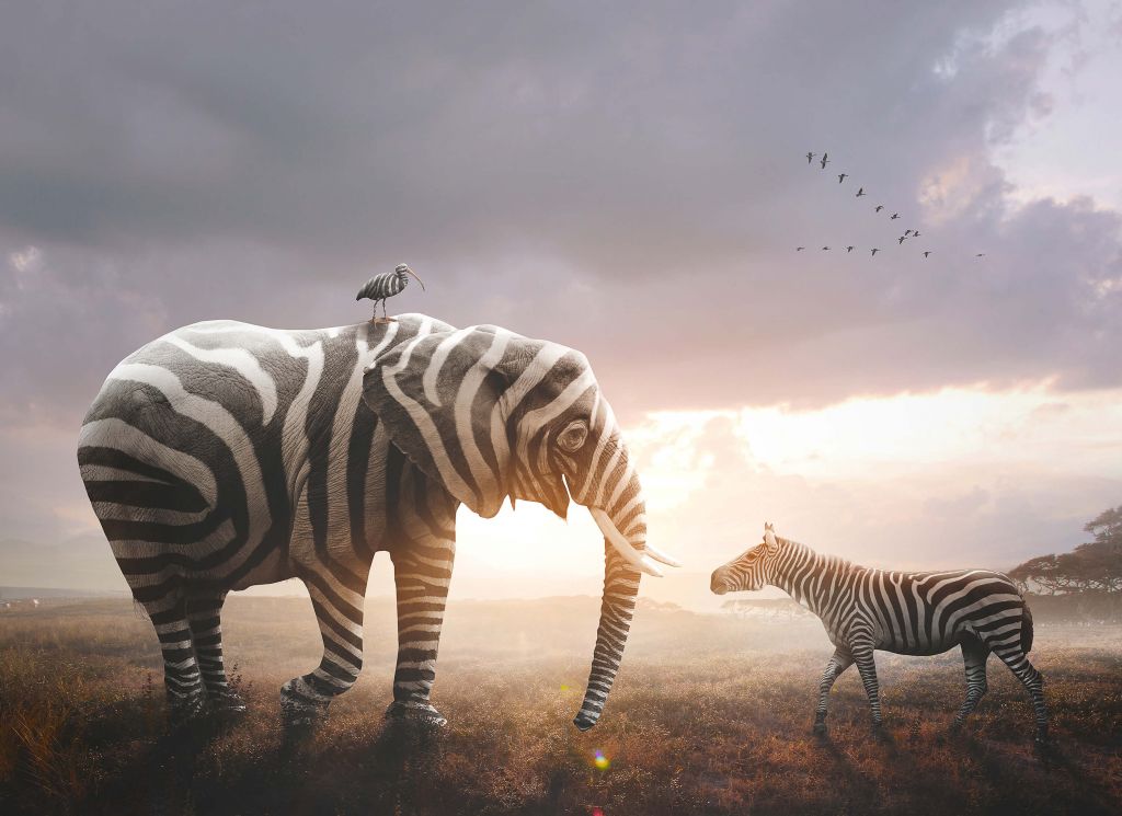 Éléphant avec des rayures zébrées