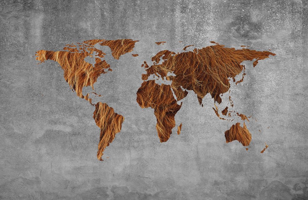 Carte du monde avec texture