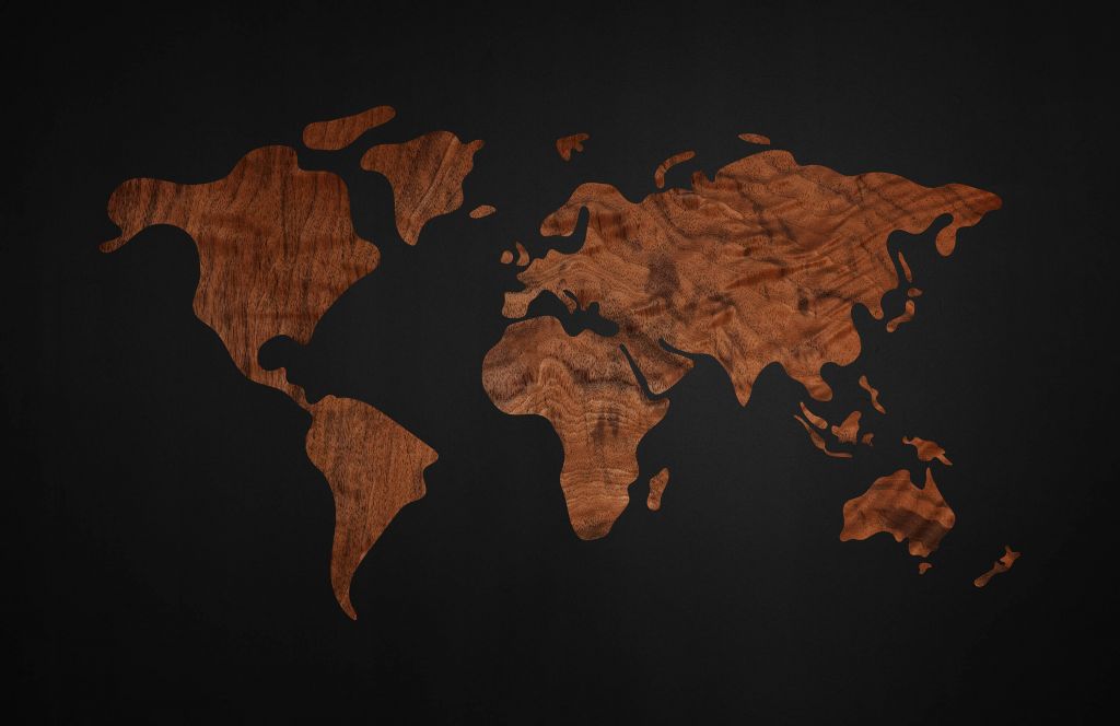 Carte du monde avec placage en bois