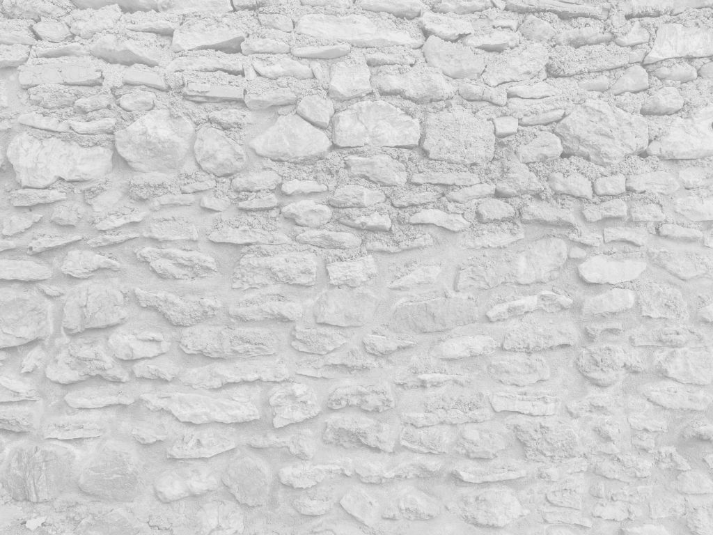 Mur léger avec briques brutes