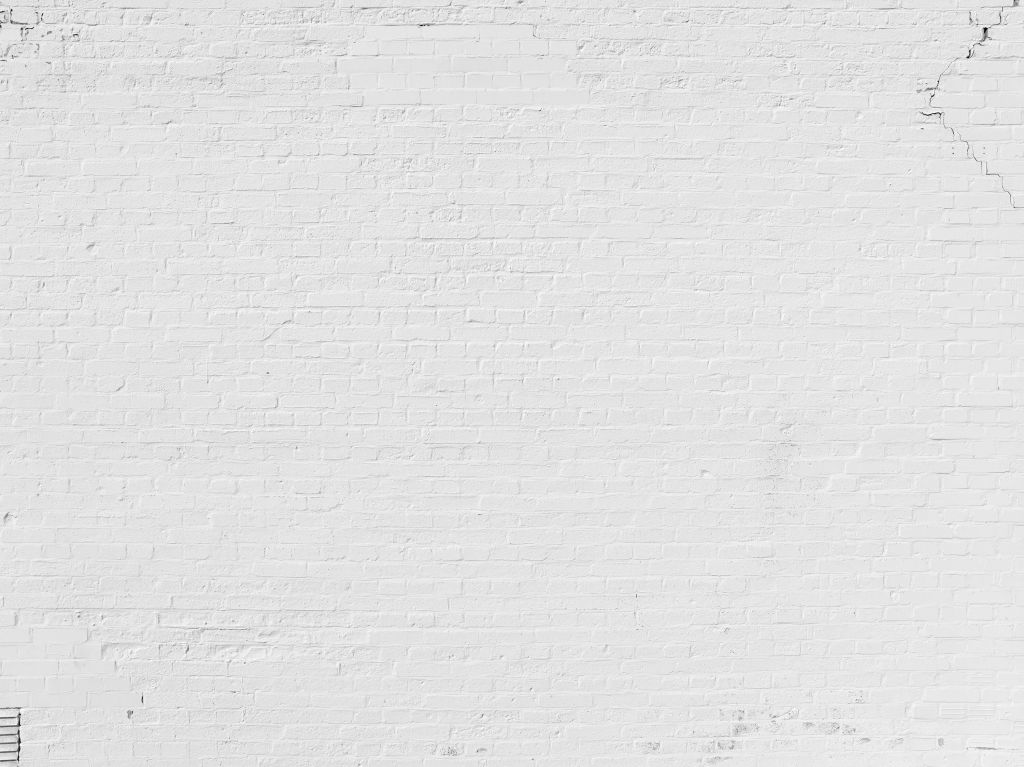 Mur peint en blanc