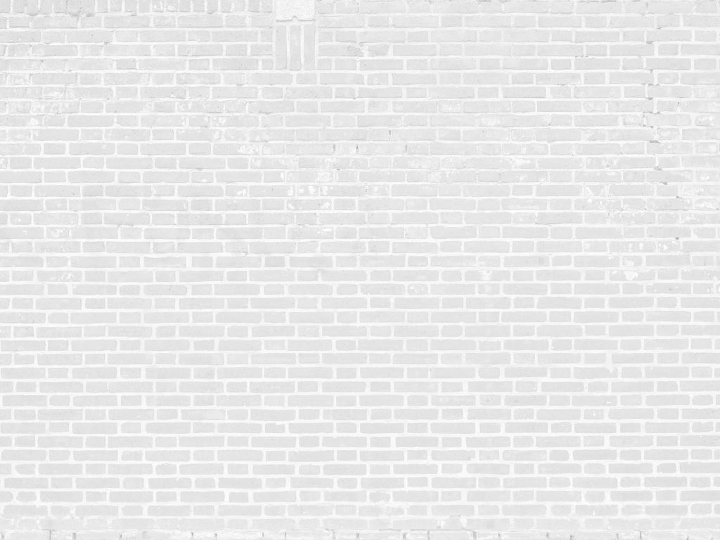 Mur de briques blanches