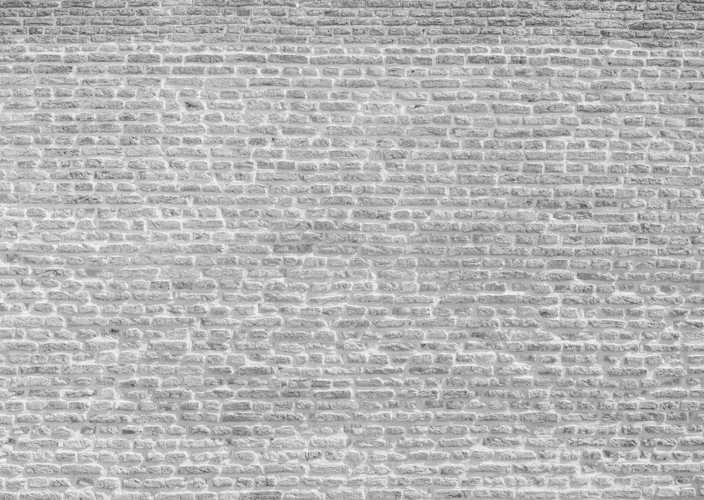 Vieux mur de briques