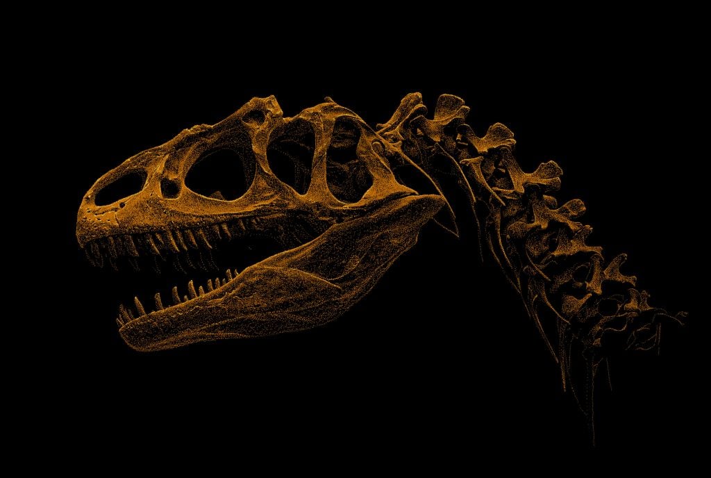 Squelette d'un dinosaure