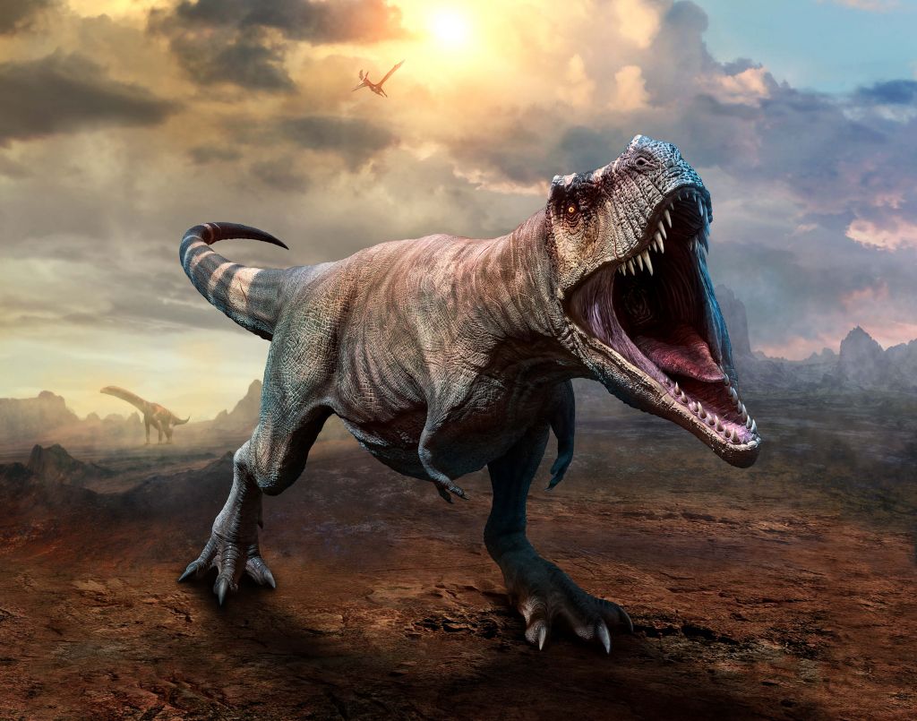 Tyrannosaurus Rex agressif