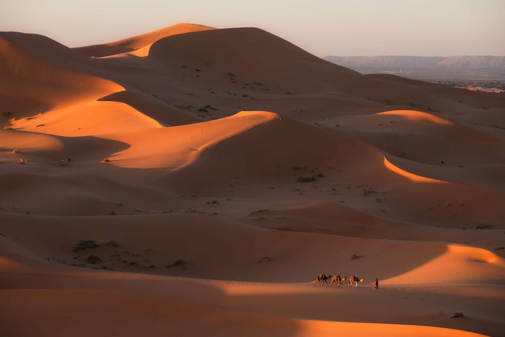 Désert au Maroc