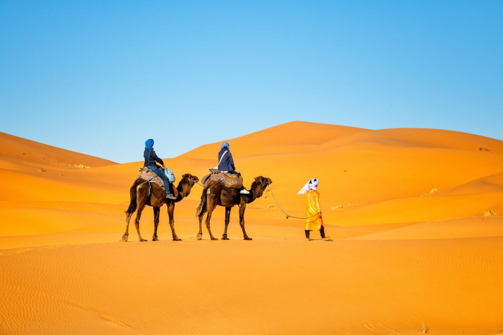 Promenade à dos de chameau dans le désert