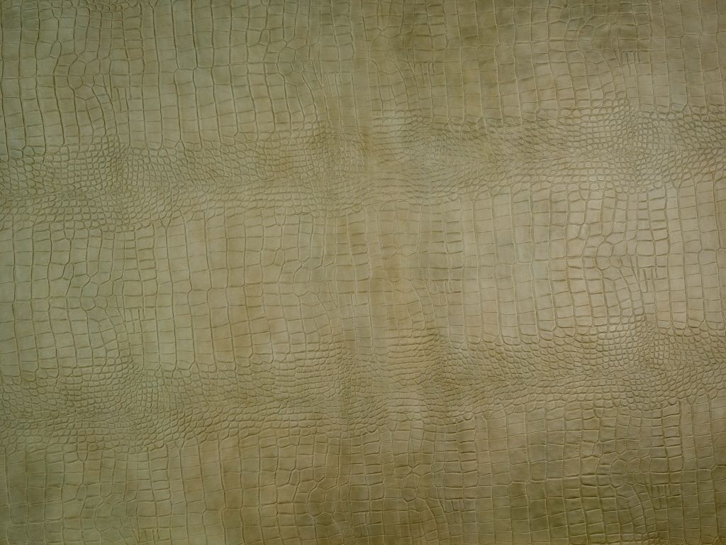 Peau de crocodile