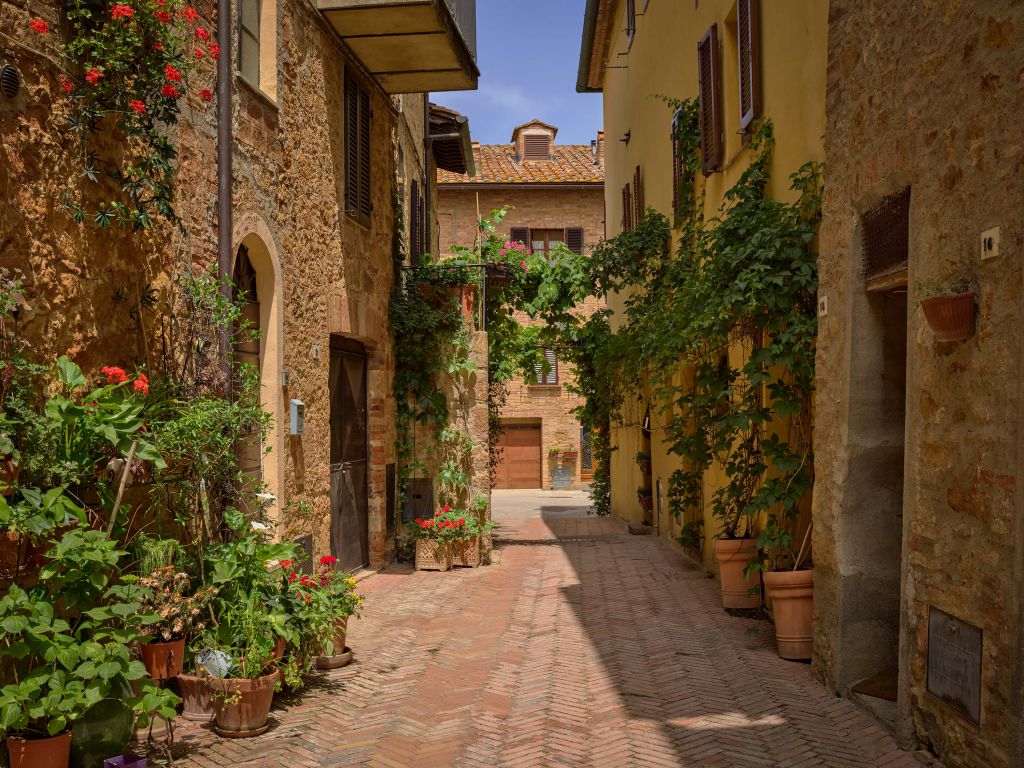 Rue italienne avec des plantes