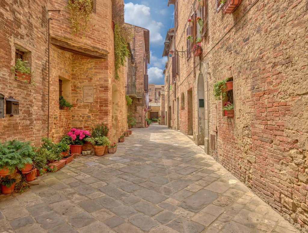 Rue italienne avec des plantes et des fleurs