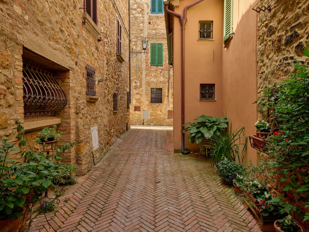 Rue avec des plantes et des fleurs