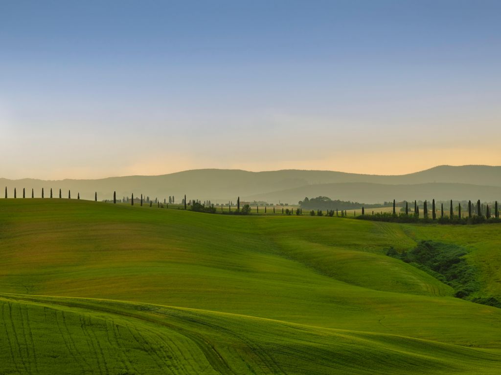 Collines de Toscane