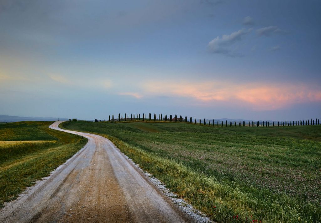 Route à travers un paysage italien